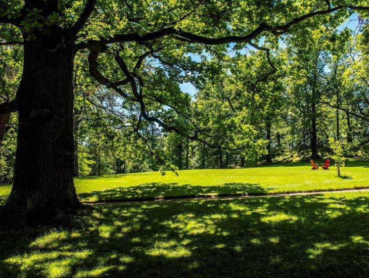 Ponadto do dyspozycji naszych Gości jest: